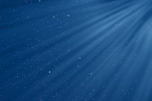 microplastiche plastica inquinamento contaminazione nanoplastiche nanoparticelle