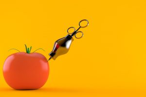 ogm gmo alimenti sicurezza alimentare ricerca