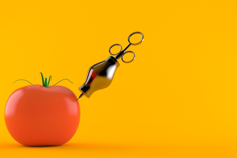 ogm gmo alimenti sicurezza alimentare ricerca