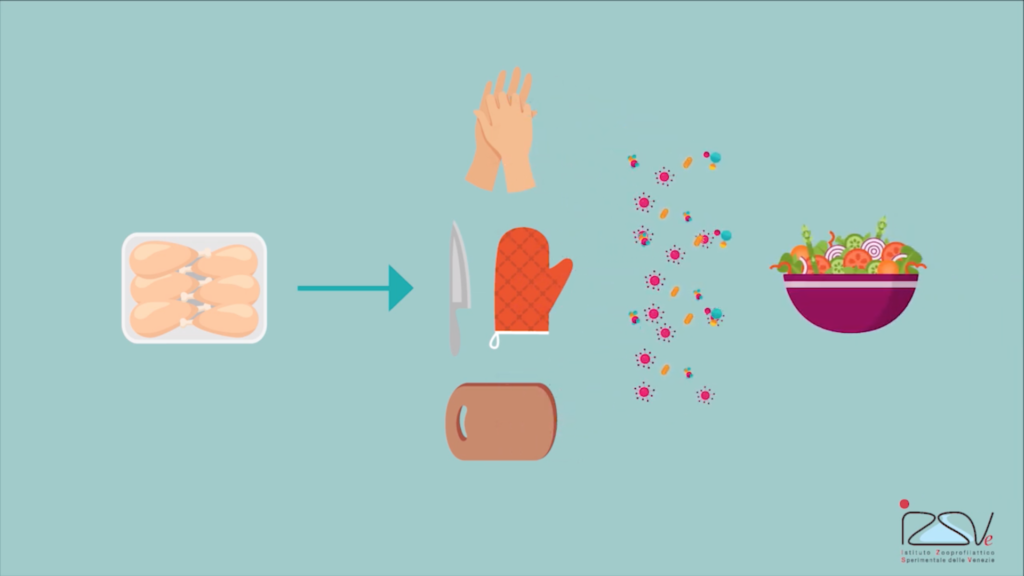 contaminazioni crociate video izsve