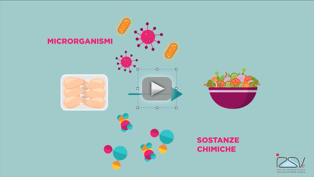 video izsve copertina cross-contaminazioni alimenti