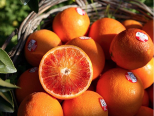 arancia rossa sicilia igp instagram