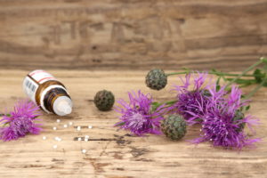 Harpagophytum artiglio del diavolo