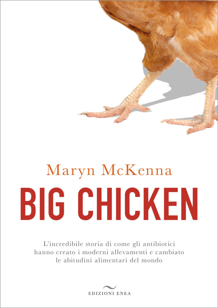 mckenna big chicken copertina libro