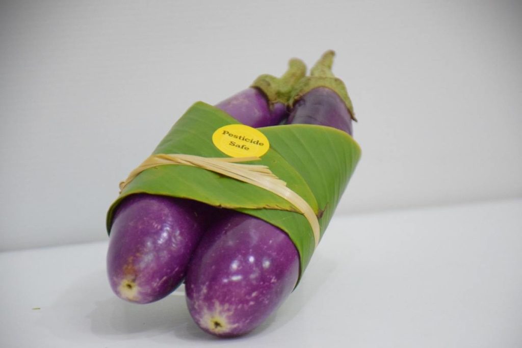 Foglie di banano imballaggio plastic free packaging