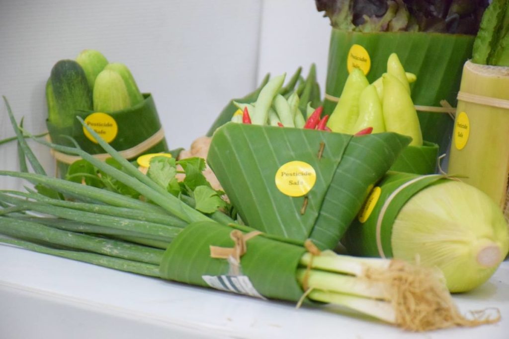 banano imballaggio plastic free packaging