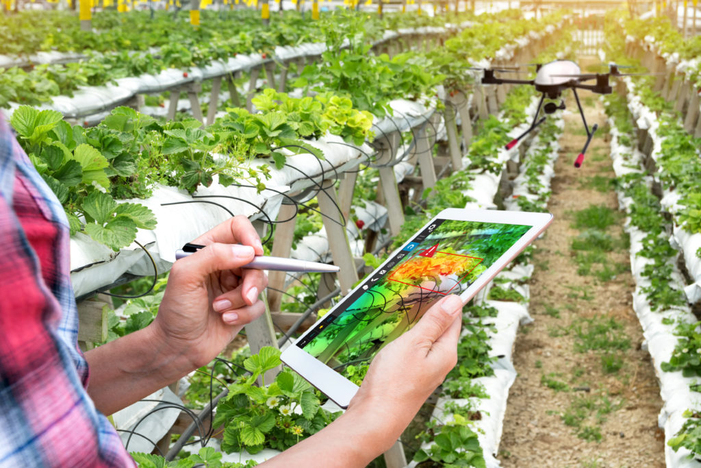 agricoltura di precisione tablet Green deal