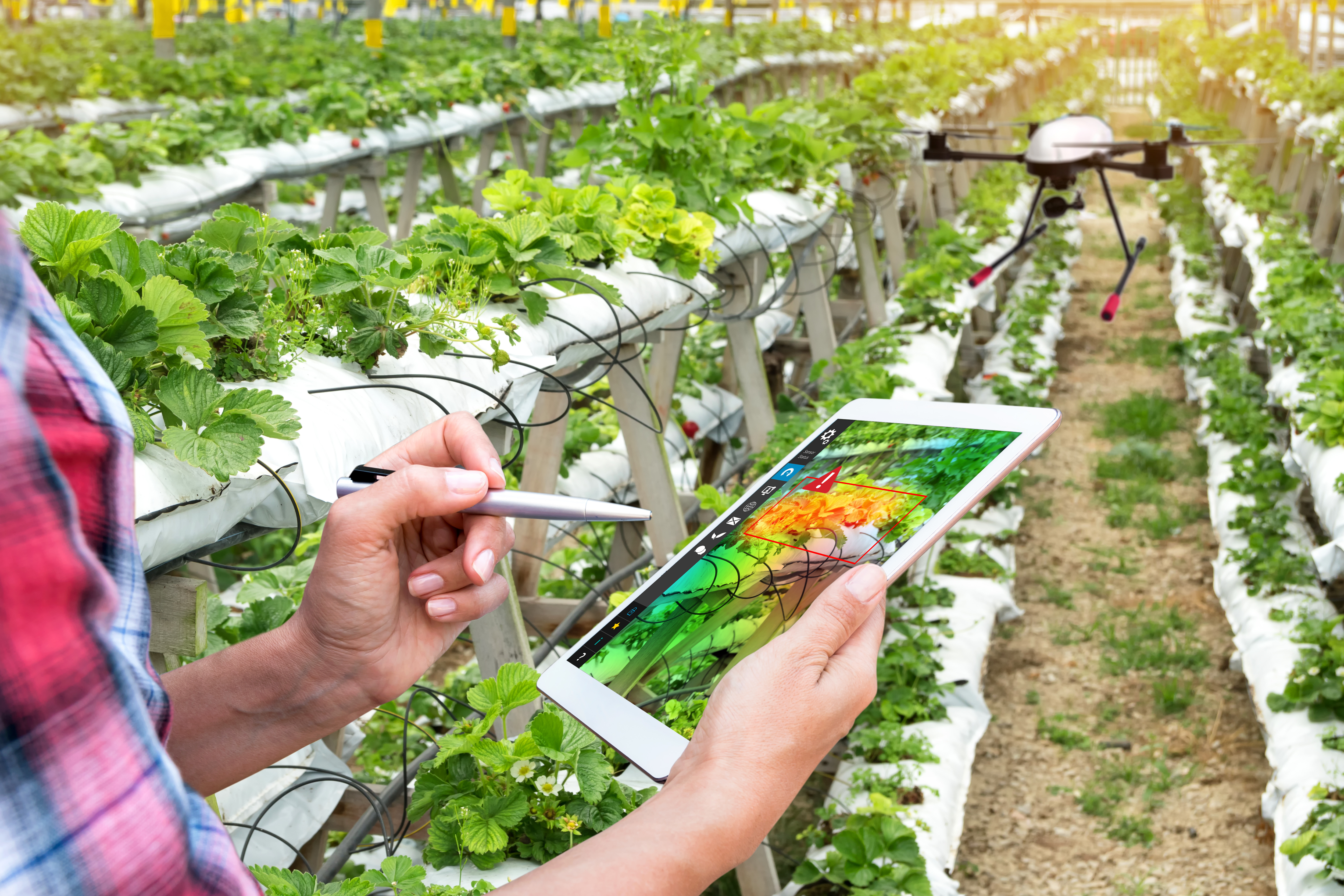 food design, agricoltura di precisione tablet