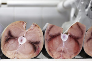 Tranci di pesce spada