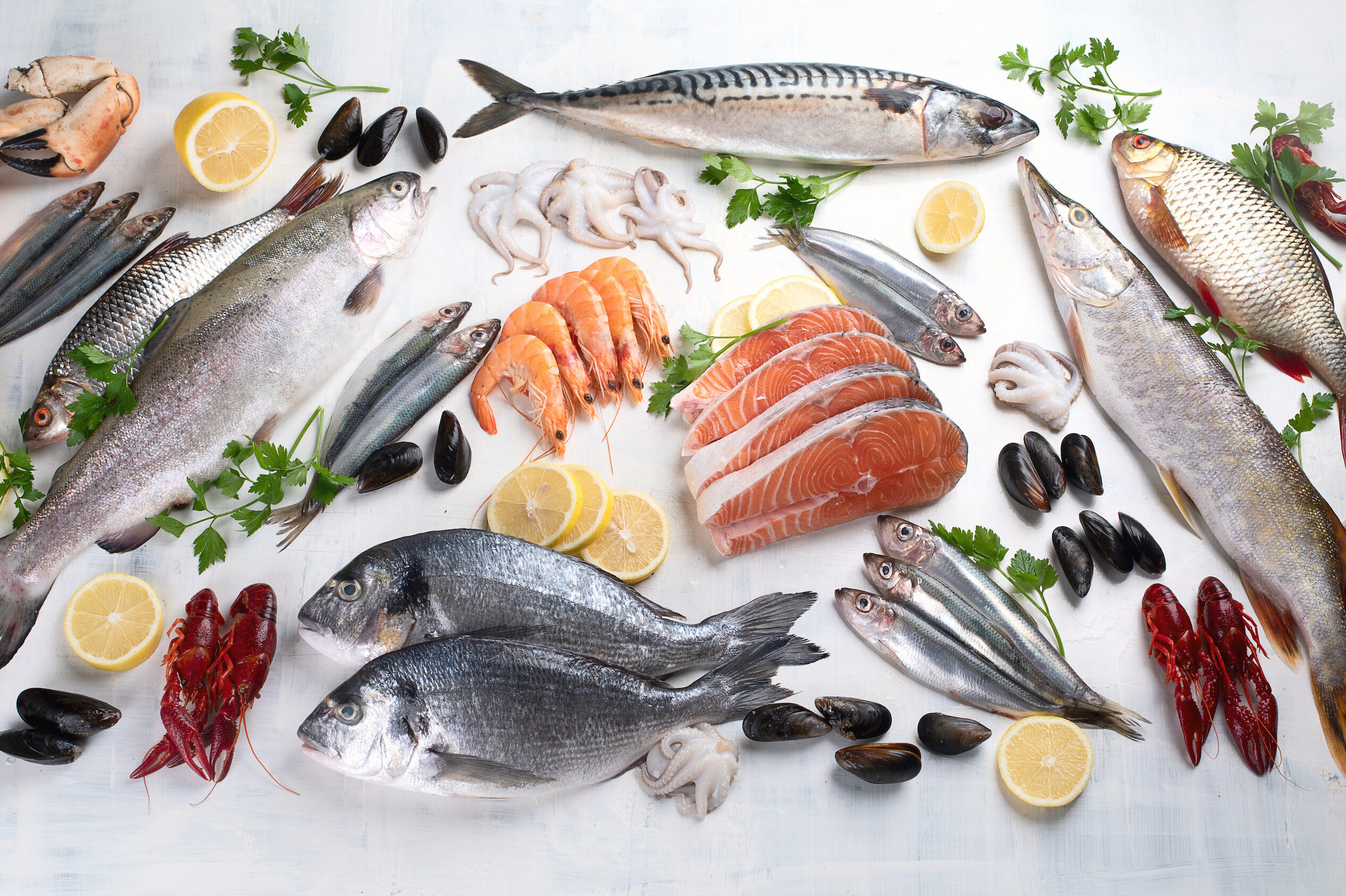 Pesce fresco, crostacei e molluschi assortiti su ghiaccio