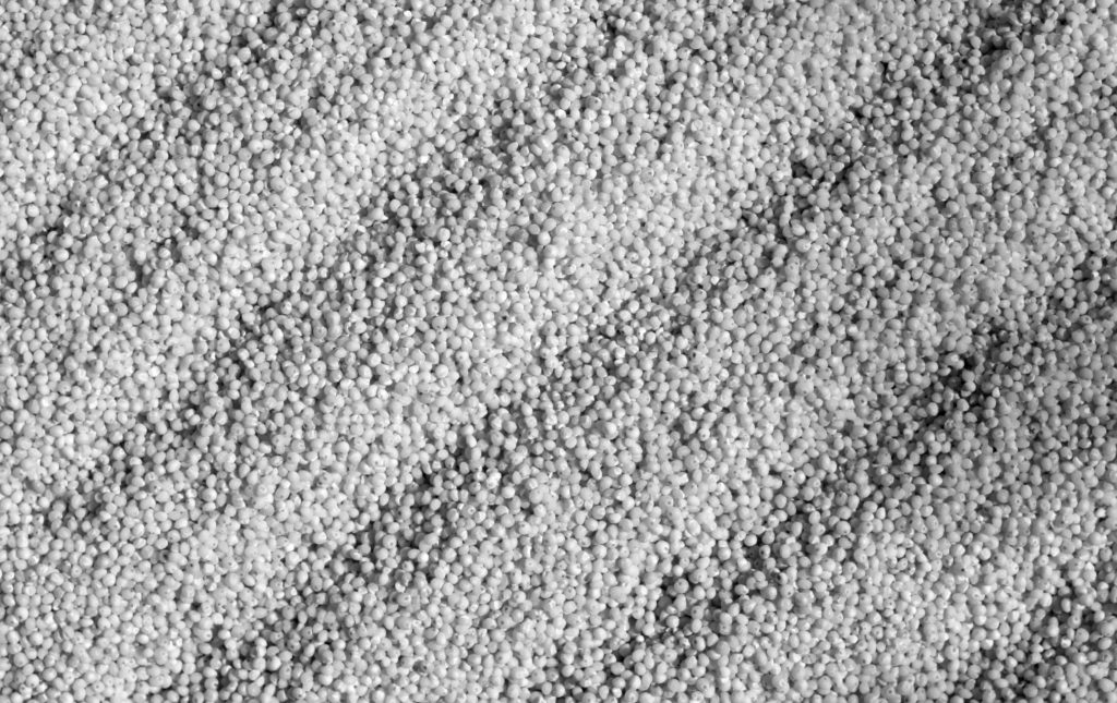 miglio giapponese DDT