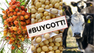 petizione olio di palma soia ogm carni americane #buycott