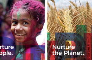 Italian institute Planetary Health IIPH