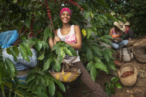 Lavazza cuba caffe agricoltrici donne emancipazione