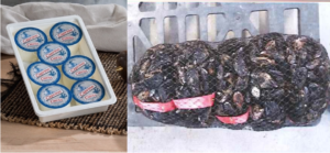 caprino fresco cirasa muscolo spezzino richiamo