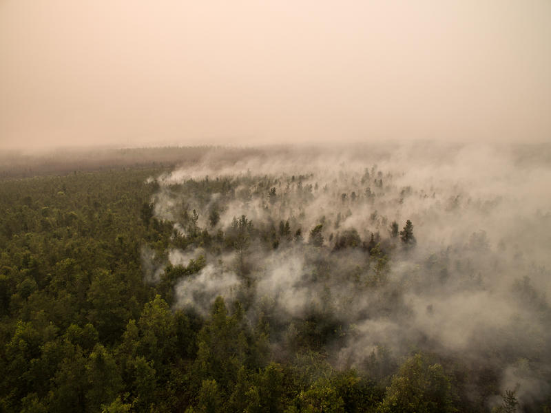 Forest Fires Investigation in PT GAL, Central Kalimantan