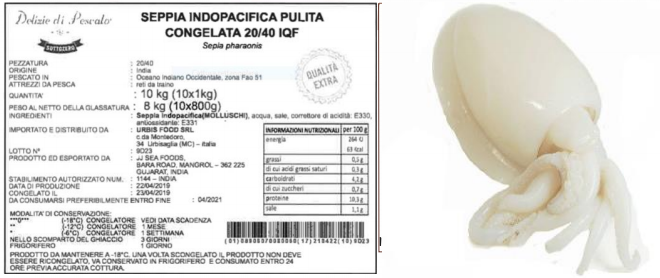 seppie indopacifiche congelate delizie di pescato