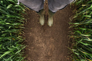 agricoltura campi terra lavoro contadini sfruttamento caporalato immigrati