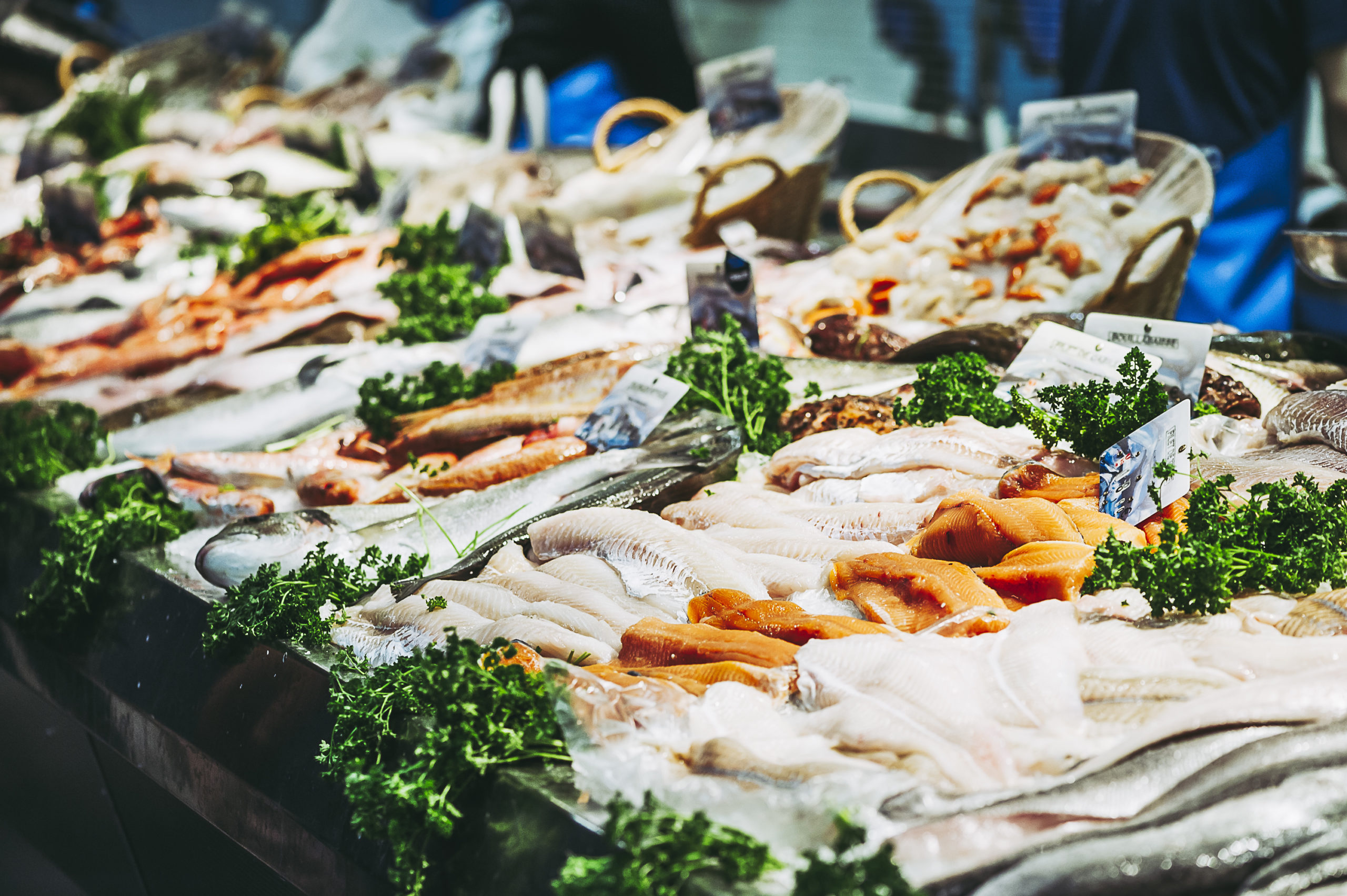 pesce fresco esposto sul banco di una pescheria; concept: origine