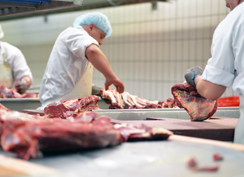 macello macellare industria alimentare carne carcasse proteine allevamento macelli