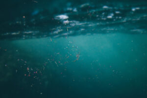 Microplastiche che galleggiano in acqua