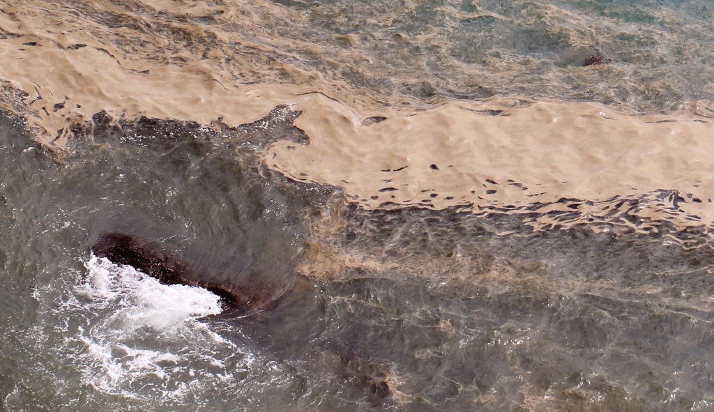 alghe fioritura algale mucillagine