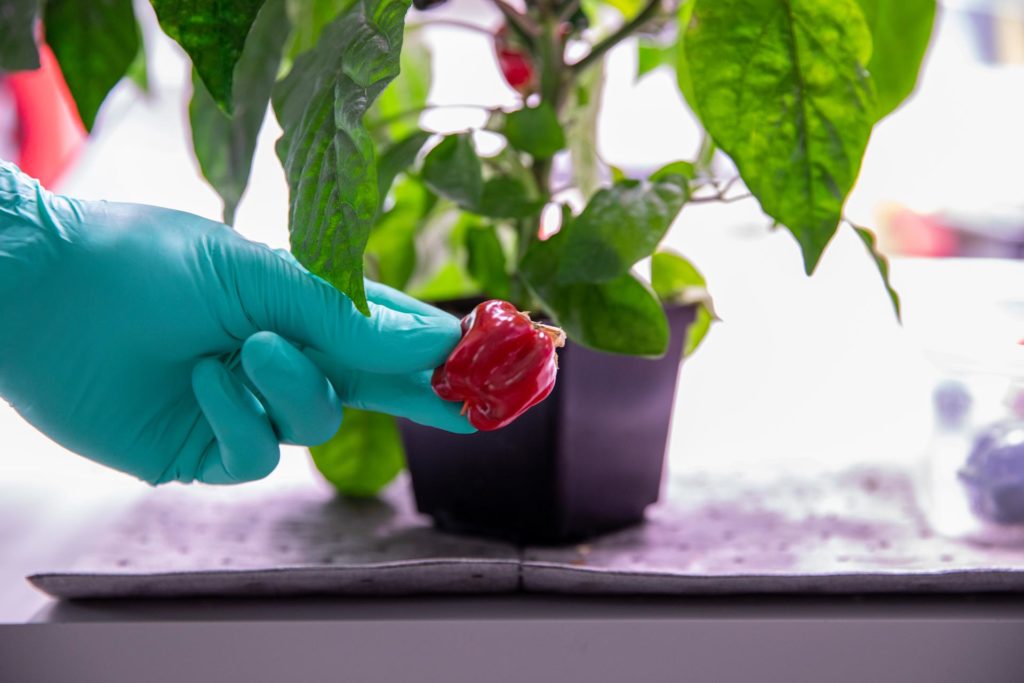 Stazione spaziale internazionale