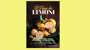 il paese dei limoni manuela soressi