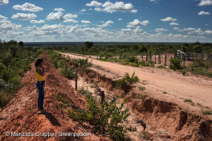 soia, deforestazione