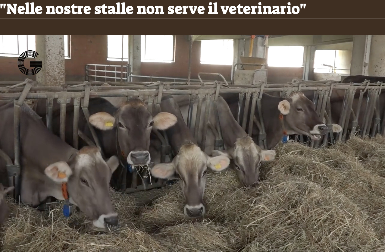 Parmigiano Reggiano veterinari