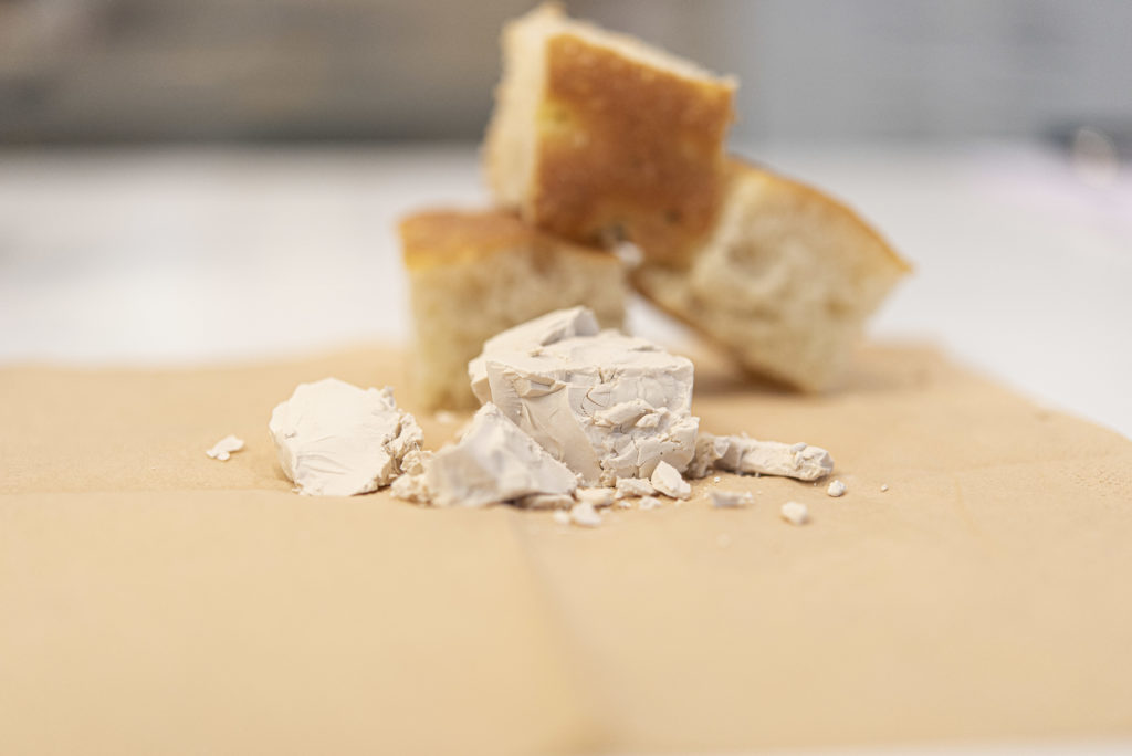 lievito di birra spezzettato