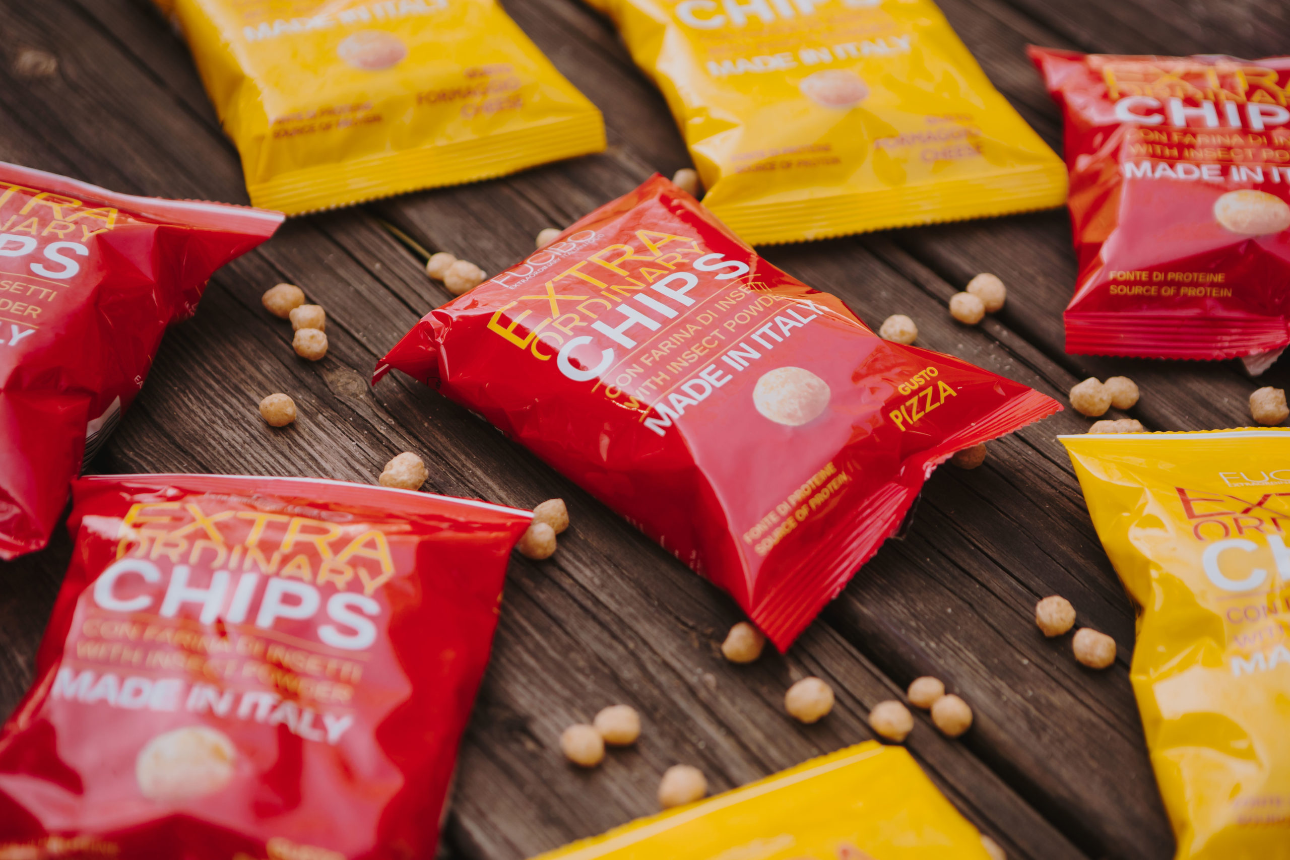 Insetti, le chips di Fucibo