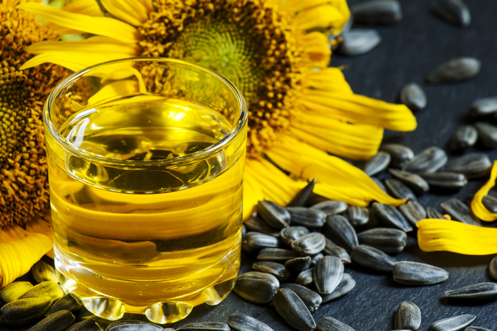 Bicchiere di olio di girasole in primo piano davanti a due fiori di girasole, con semi di girasole sparsi su superficie di ardesia