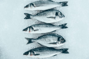 Orate e branzini alternati sul ghiaccio