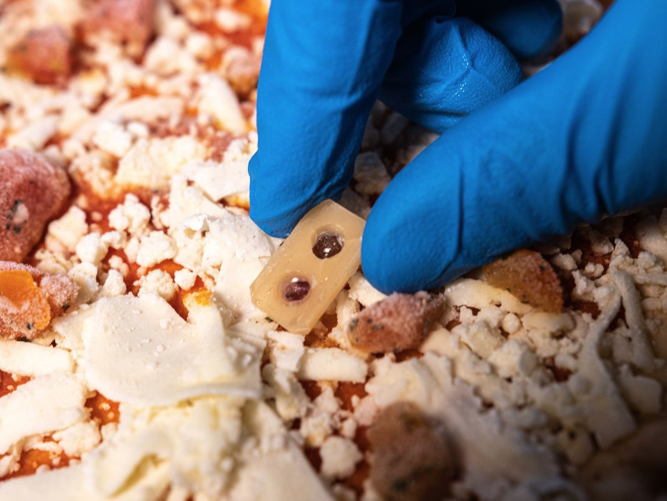 Sensore-commestibile-IIT