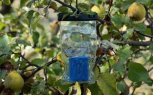 rfcx-edge-audiomoth wwf biodiversità