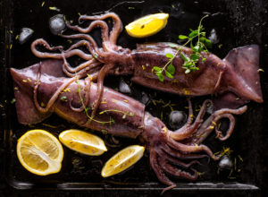 Due calamari freschi con ghiaccio, fette di limone e erbe