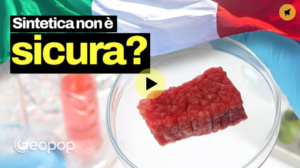 carne sintetica geopop