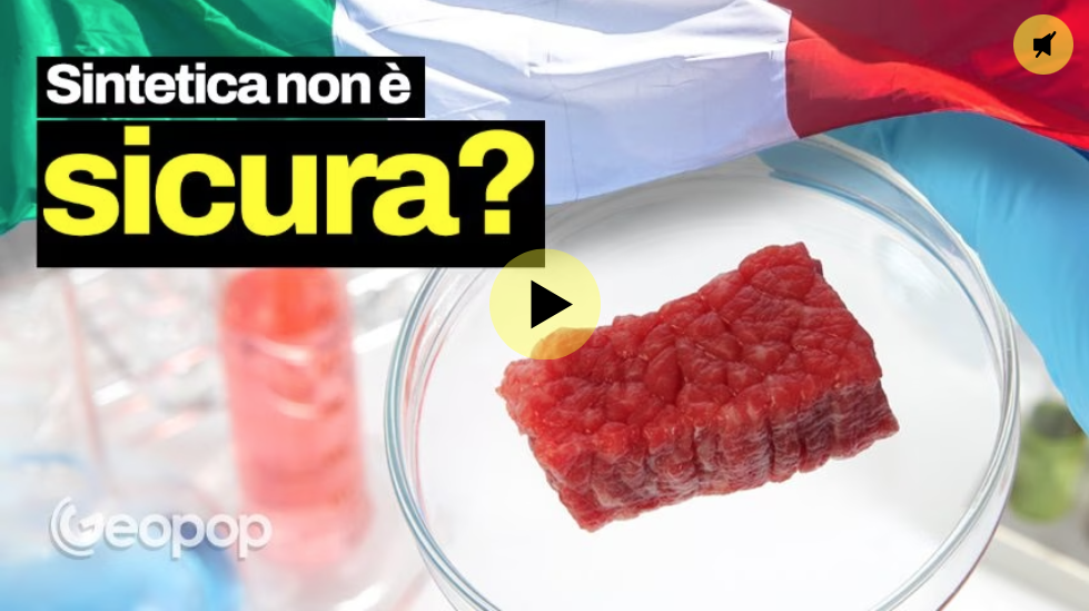 carne sintetica geopop