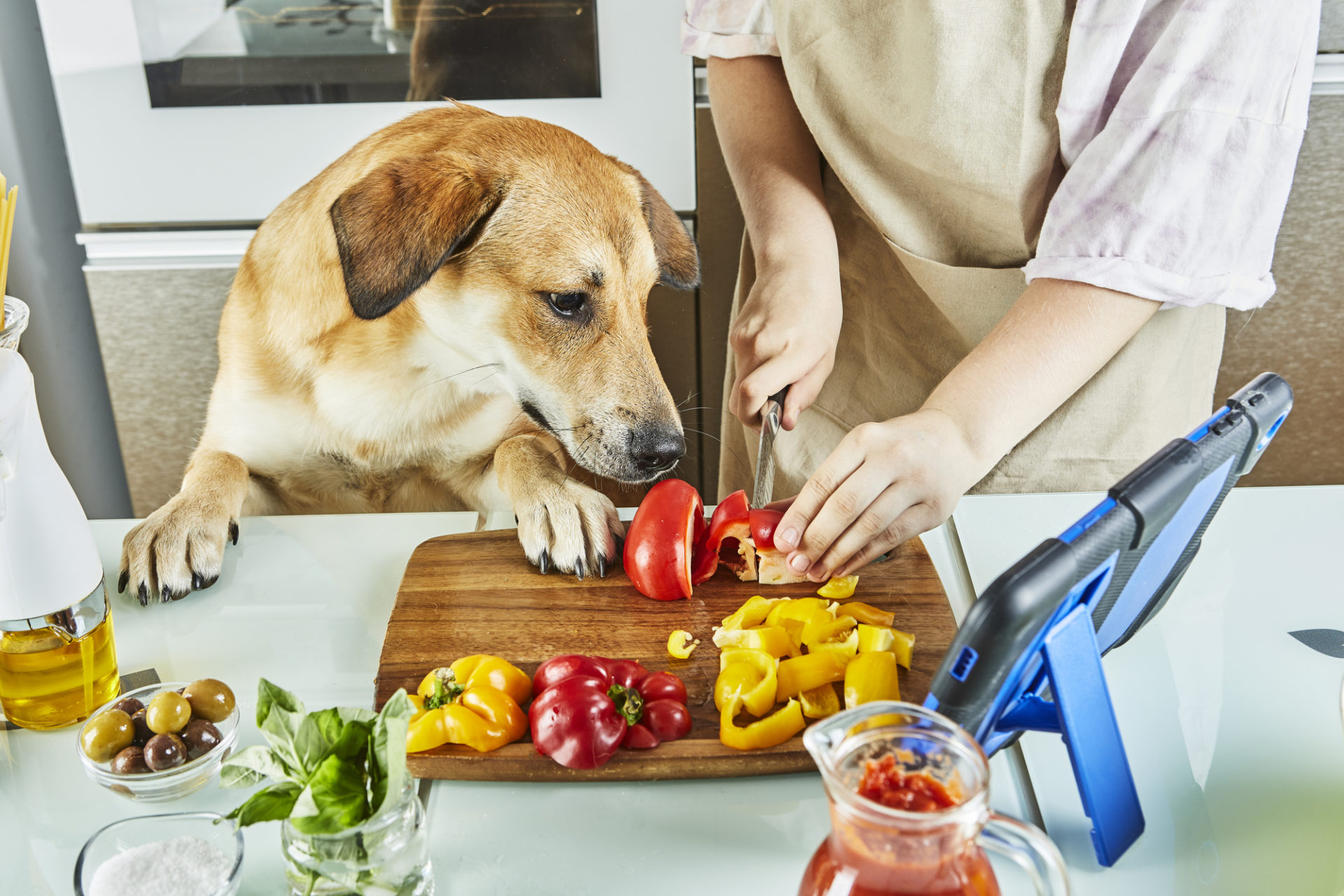 Cane osserva e annusa mentre una donna taglia a fette i peperoni