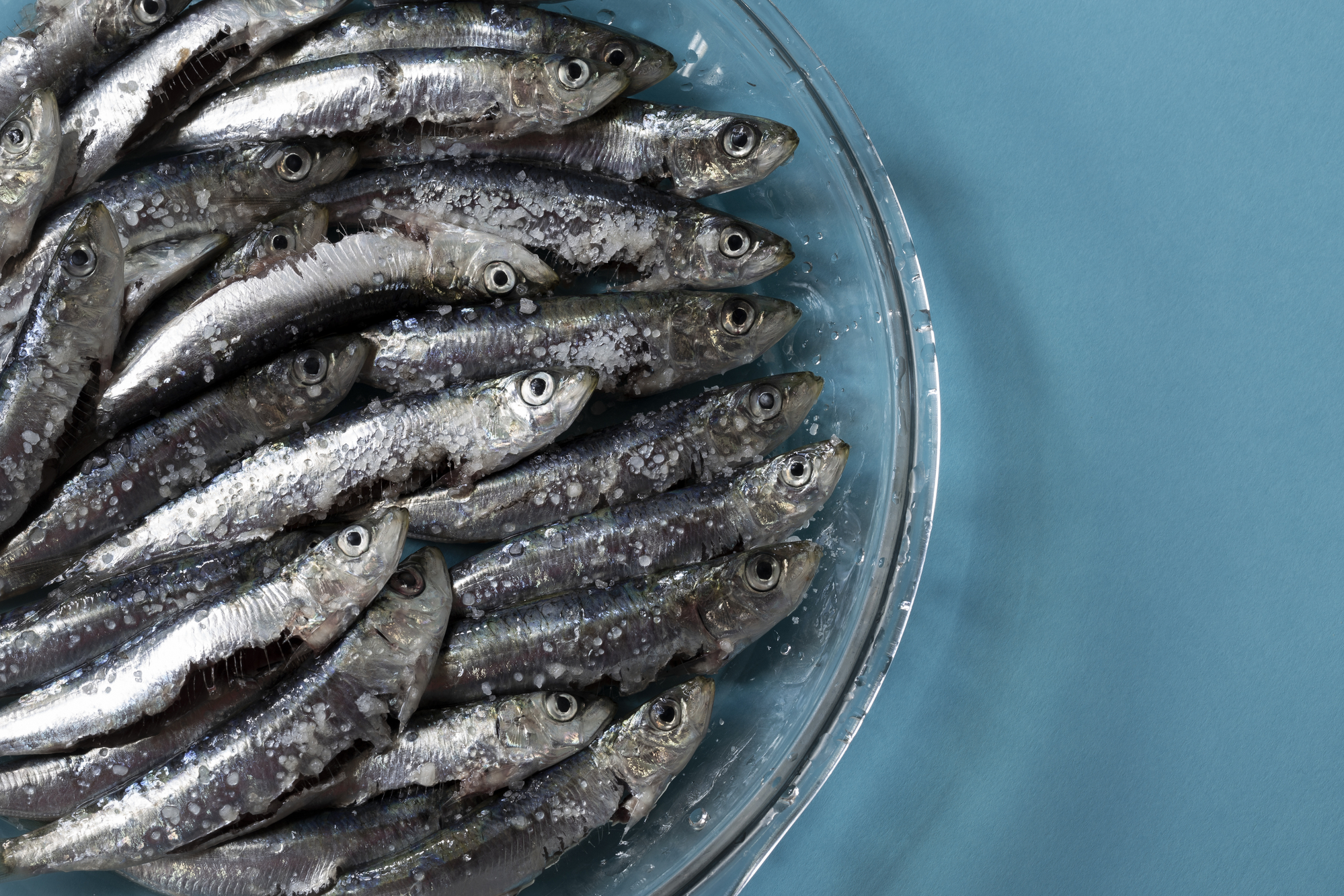 Sardine con sale in un piatto di vetro