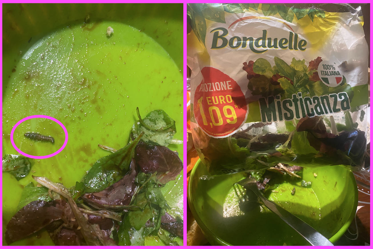 bonduelle insalata bonduelle bruco vivo 2023
