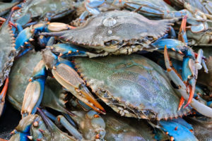 Granchi blu ammucchiati in un banco della pescheria
