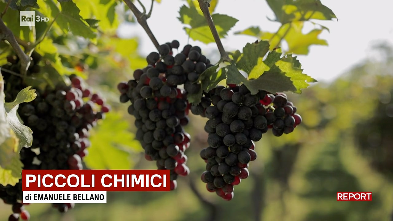 Report piccoli chimici 17.12.2023