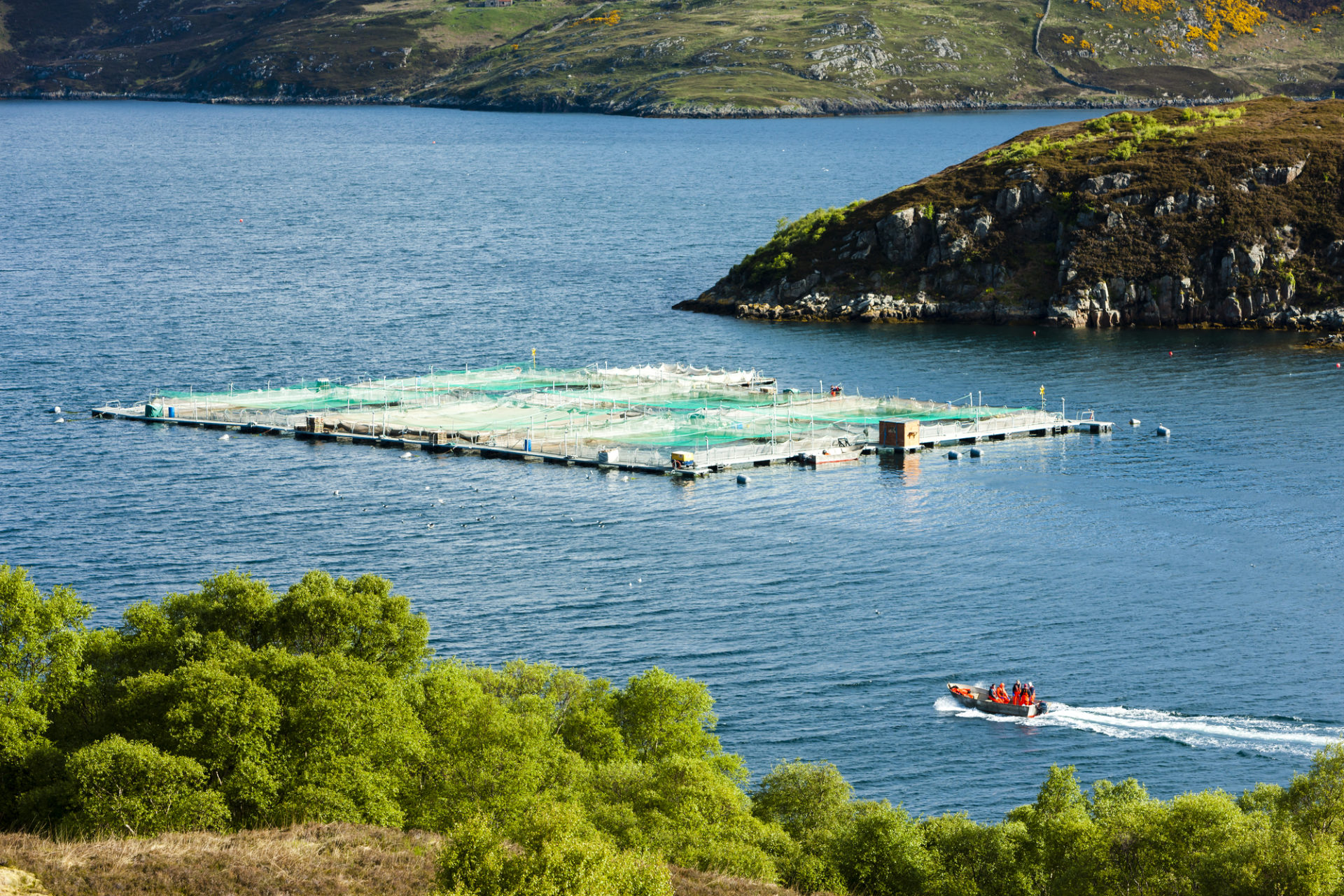 Allevamento di salmoni in un Loch a Chairn Bhain, nelle Highlands, in Scozia; concept: acquacoltura, salmone affumicato