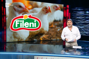 Report: servizio su allevamenti di polli bio Fileni; puntata 09.01.2023 Sigfrido Ranucci