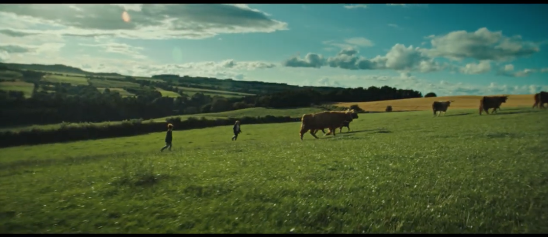 Patersons Digestive pascoli vacche spot 2024