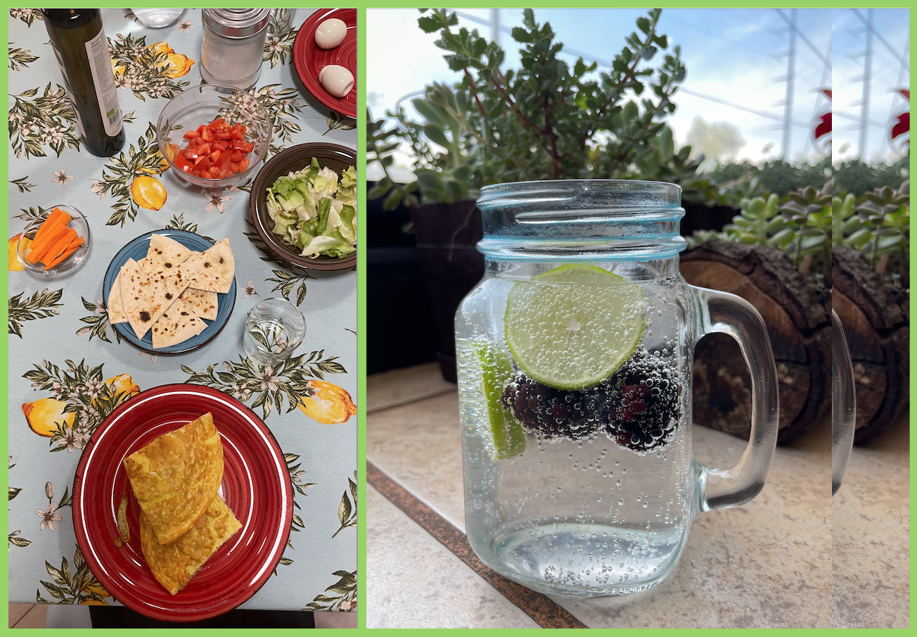 alternativa ai succhi abril gonzales campos