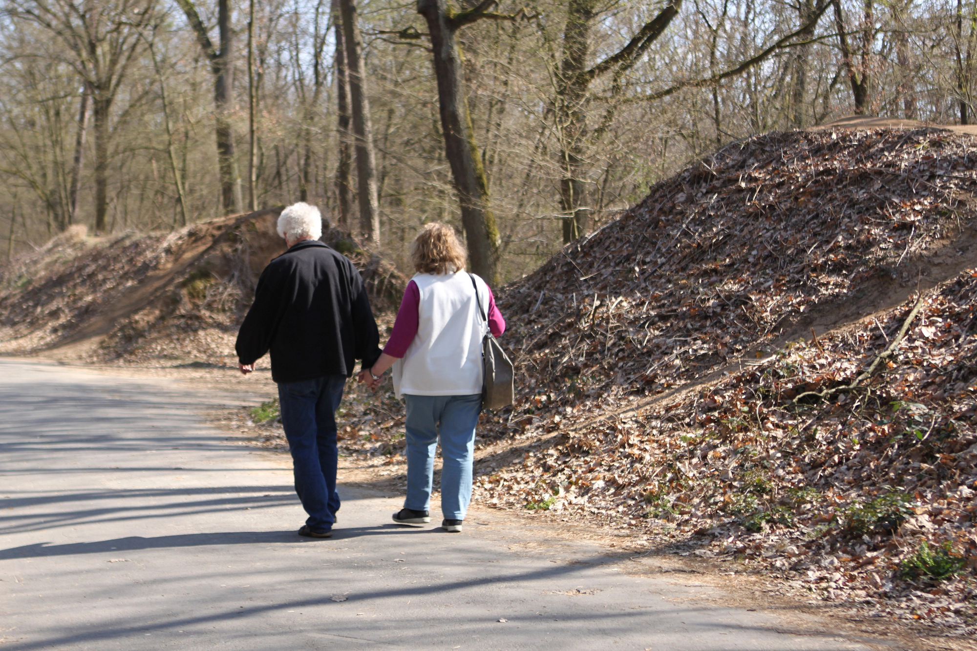 boschi foresta passeggiata escursioni Depositphotos_268635940_L