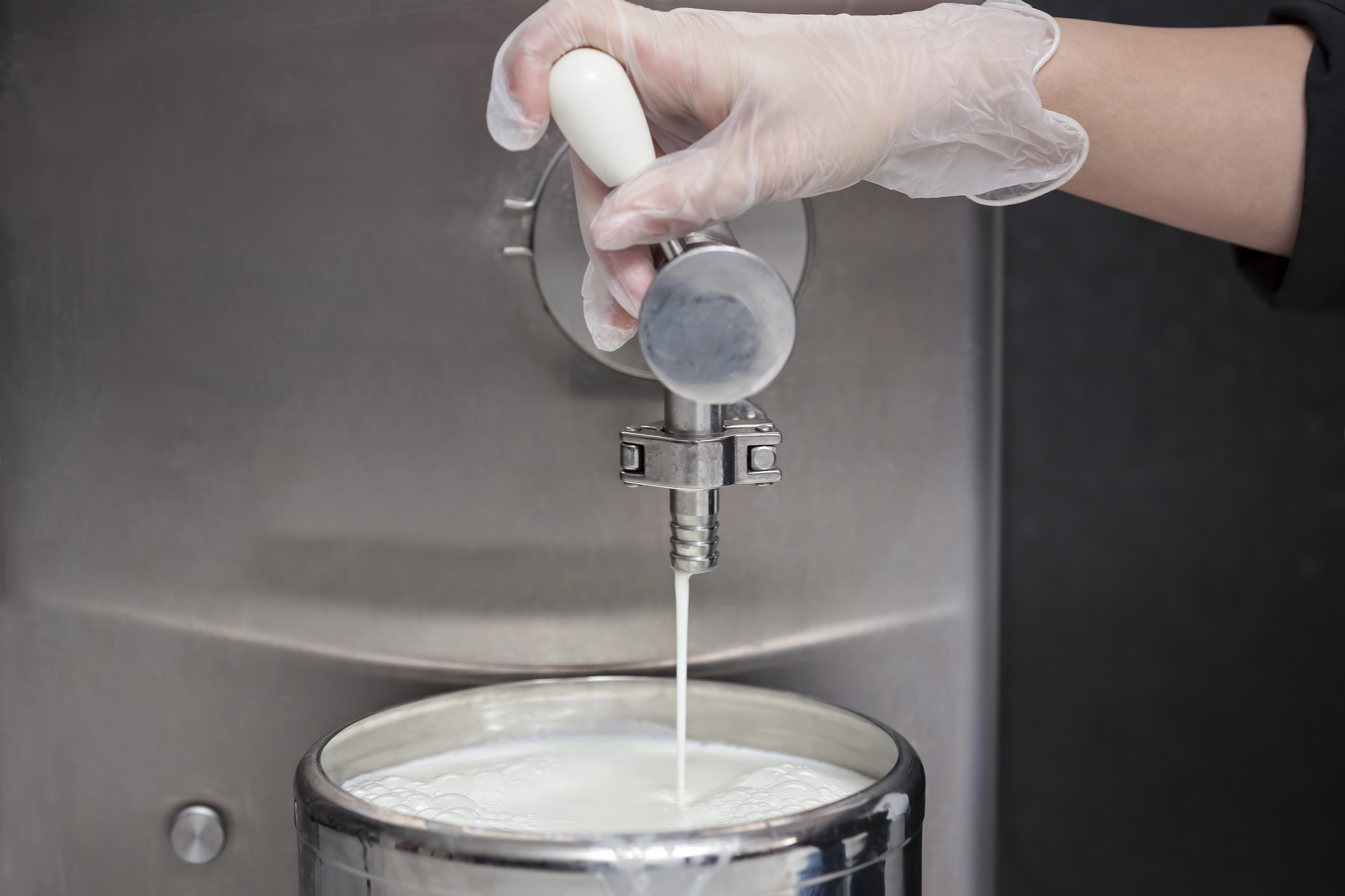 Lavoratore o lavoratrice di caseificio o azienda lattiero-casearia apre rubinetto di cisterna del latte